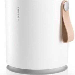 Molekule Air Mini+ | Air Purifier for Small Home Rooms up to 250 sq. ft. with PECO-HEPA Tri-Power Filter for Mold, Smoke, Dust, Bacteria, Viruses & Pollutants for Clean Air - White, Alexa-Compatible
