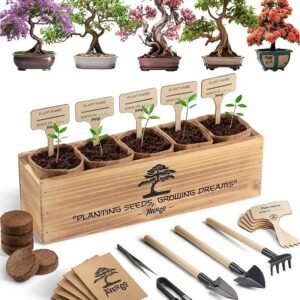 Bonsai Tree Kit – 5X Unique Japanese Bonzai Trees | Complete Indoor Bonsai Starter Kit for Growing Bonsai Plants with Tools & Planters – Gardening Gifts for Women & Men