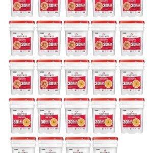 READYWISE- 1 Year, Emergency Food Supply, 3,576 Servings, 24 Buckets, Freeze-Dried, MRE, Camping, Hiking, Survival, Adventure Meal, 25-Year Shelf Life