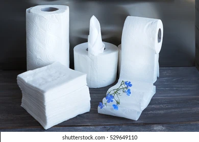 Paper Towels and Toilet Paper